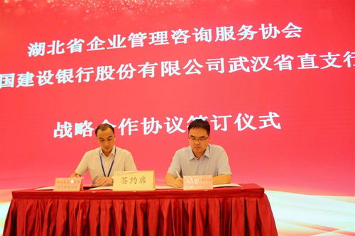 湖北省企業(yè)管理咨詢服務(wù)協(xié)會換屆,程鵬當(dāng)選為會長